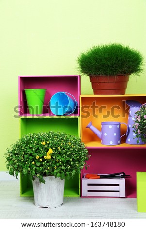 Flowers in pots with color boxes and instruments on wall background