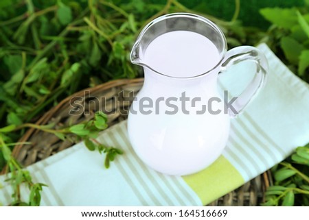 Pitcher of milk on napkin on wicker tray on grass