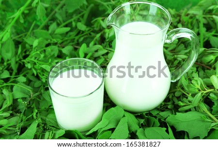 Pitcher and glass of milk on grass