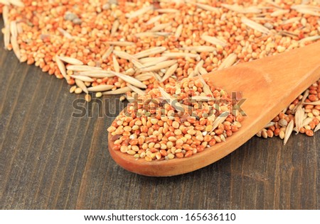 Food for parrots on wooden background