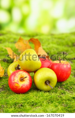 Small apples on nature background