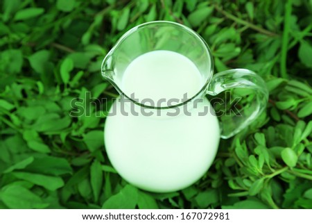 Pitcher of milk on grass