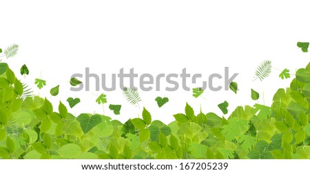 Frame of green leaves isolated on white