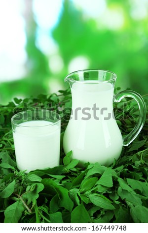 Pitcher and glass of milk on grass on nature background