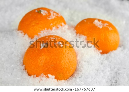 Ripe tangerines in snow close up