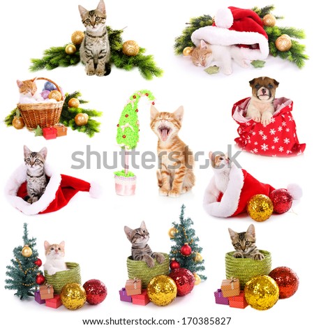 Collage of animals with Christmas decorations isolated on white