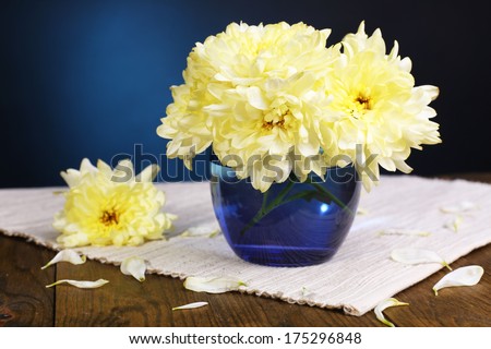 Beautiful chrysanthemum flowers in vase on table on dark blue background