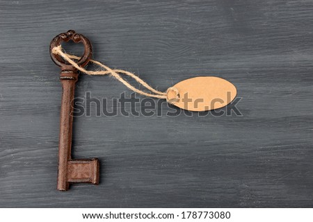 Key with empty tag, on color wooden background