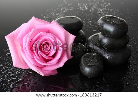 Spa stones with drops and pink rose on grey background