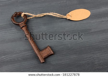 Key with empty tag, on color wooden background