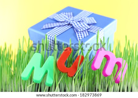 Gift box for mum on grass on color background