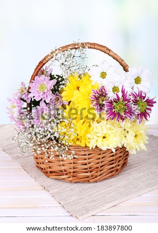 Beautiful chrysanthemum flowers in wicker basket on table on light background
