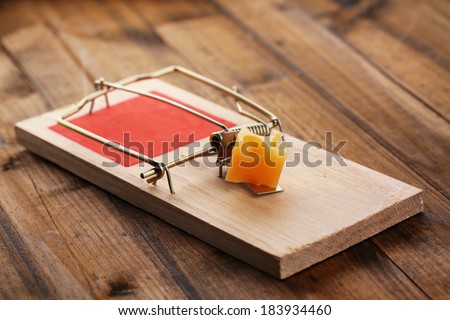 Premium Vector  Mouse trap with cheese isolated on white
