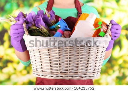 Housewife holding basket with cleaning equipment on bright background. Conceptual photo of spring cleaning.