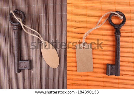 Keys with empty tag, on color wooden background