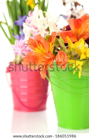 Beautiful flowers in metal buckets  close up