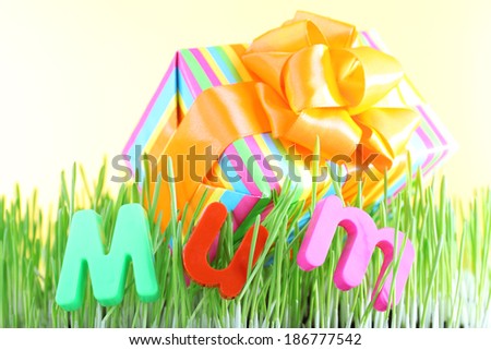 Gift box for mum on grass on color background