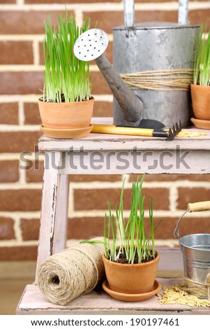 Green grass in flowerpots and oat seeds on brick wall background