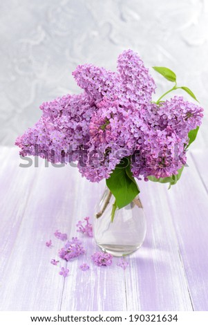 Beautiful lilac flowers in vase on table on light background