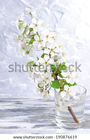 Beautiful fruit blossom in glass on table on grey background