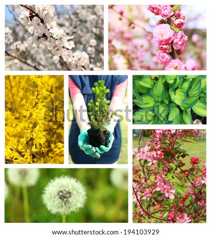 Spring season collage
