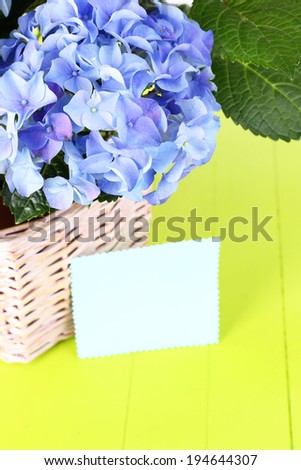 Hydrangea in basket on table close-up