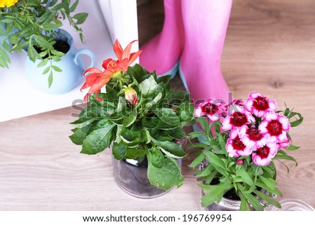 Flowers in  decorative pots and pink rain boots, on bricks background