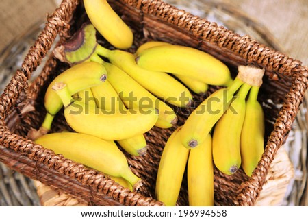 Bunch of mini bananas in wicker box on sackcloth background