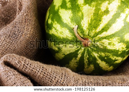 Ripe watermelon in sackcloth close-up