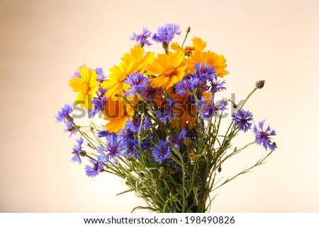 Beautiful wild flowers isolated on white