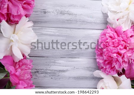 Beautiful pink and white peonies on color wooden background