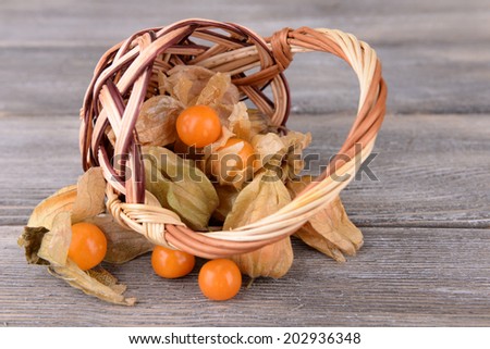 Physalis fruits in wicker basket, on wooden background