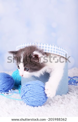 Cute little kitten in box playing with thread ball on blue carpet, on light background