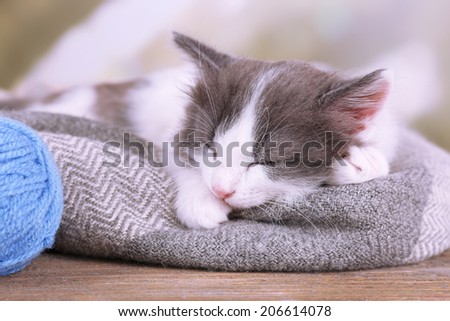 Cute little kitten sleeping on plaid, on bright background