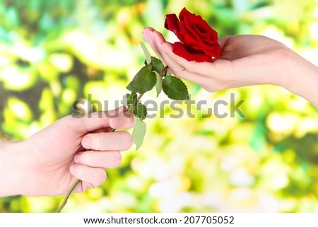 Man's hand giving a rose on bright background
