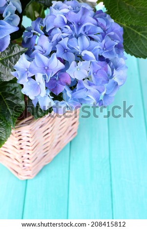 Hydrangea in basket on table close-up