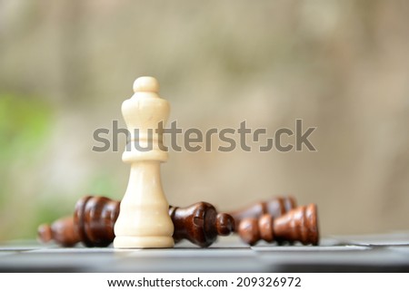 Chess board with chess pieces on light background
