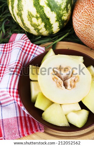 Melon and watermelon on brown plate on bamboo plate on napkin on grass