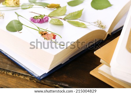 Dry up plants on book on table close up