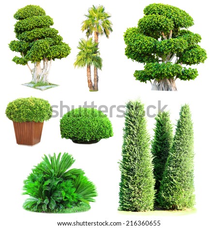 Collage of green trees and bushes isolated on white