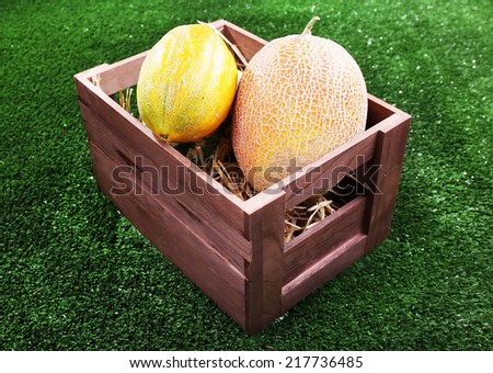Melons and water melon in wooden box on green background