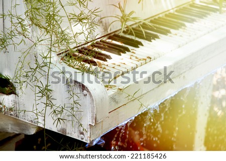 Garden with pond and piano in retro style