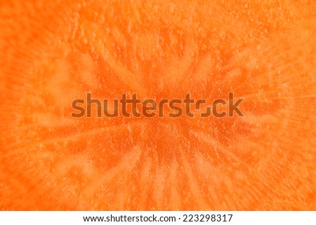 Close up of carrot (macro)