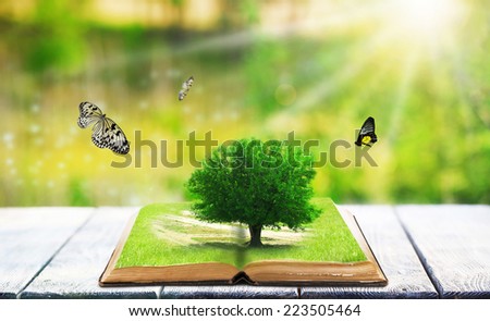 Fantasy tale book on nature background