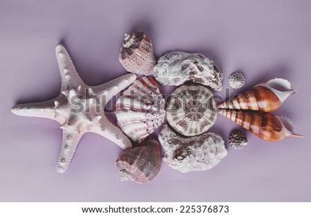 Sea souvenirs on lilac background