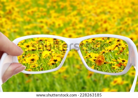 Vision concept. Glasses in hand on wild flowers background