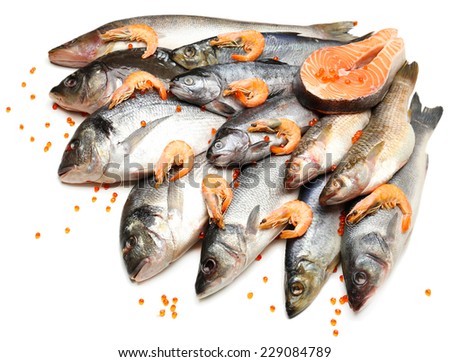 Fresh catch of fish and shrimps, isolated on white