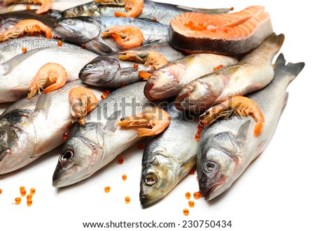 Fresh catch of fish and shrimps, close-up