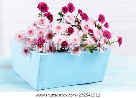 Beautiful flowers in box on table on light background