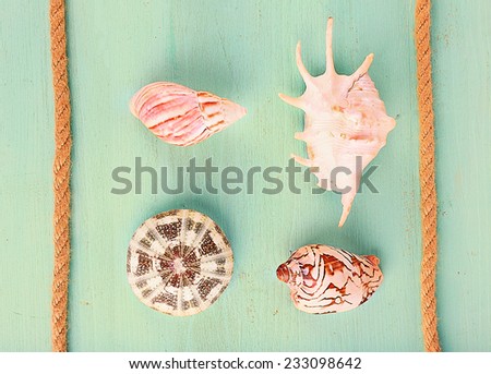 Sea souvenirs on light turquoise background
